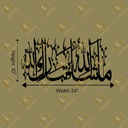 COLOR (58).png