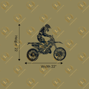 COLOR (26).png