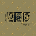 COLOR (61).png
