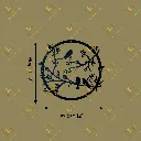 COLOR (2).webp
